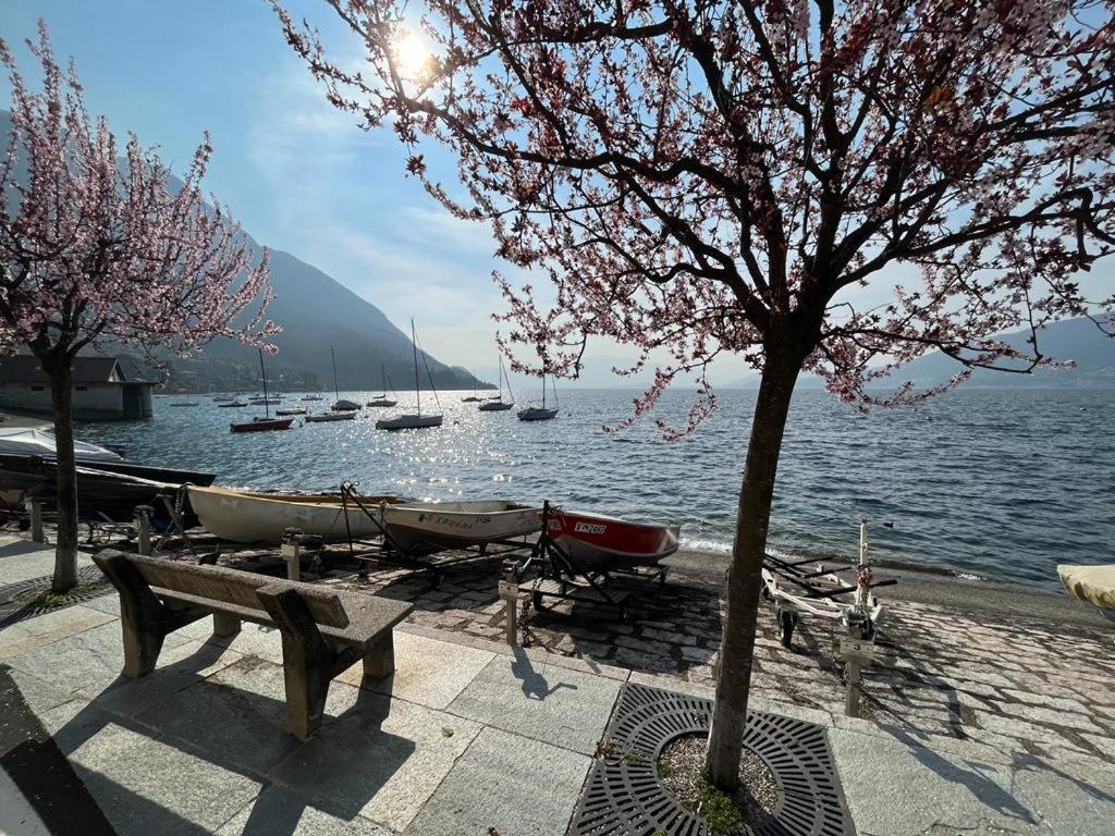 Il Sole Di Calde Lago Maggiore 504 Castelveccana Luaran gambar